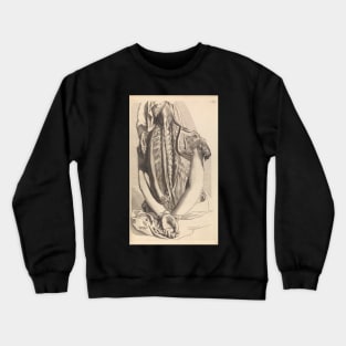 Flayed Back, Anatomia Humani Corporis, Govard Bidloo, 1685 Crewneck Sweatshirt